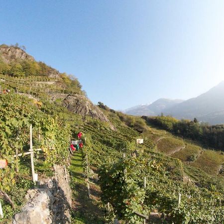 Winebnb Sondrio Kültér fotó