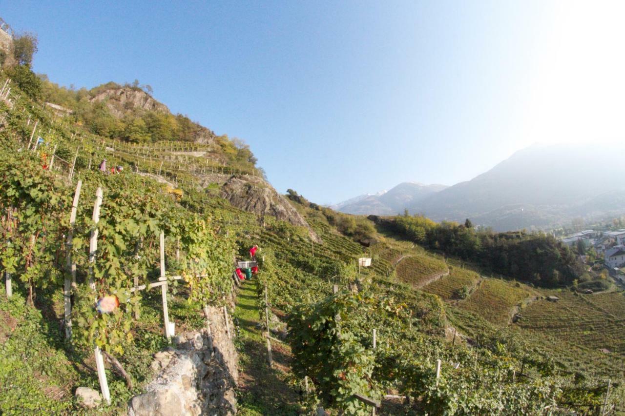 Winebnb Sondrio Kültér fotó